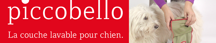 Couches pour chien en comparaison