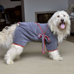 Peignoir pour chien 