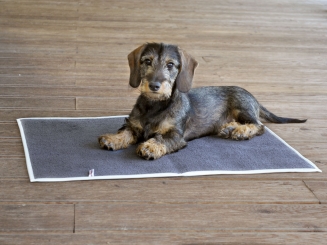 Incontinence mats for outlet dogs