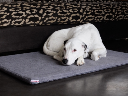 Orthopedic Dog Bed with incontinence pad