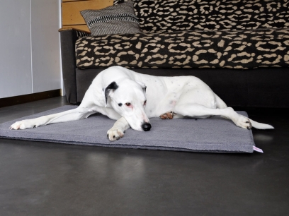 Orthopaedic Dog Beds in a Set-of-3 
