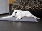 Orthopaedic Dog Beds in a Set-of-3-1