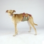 Dog diaper for small male dogs-2