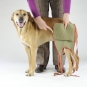 Dog diaper for large male dogs-3