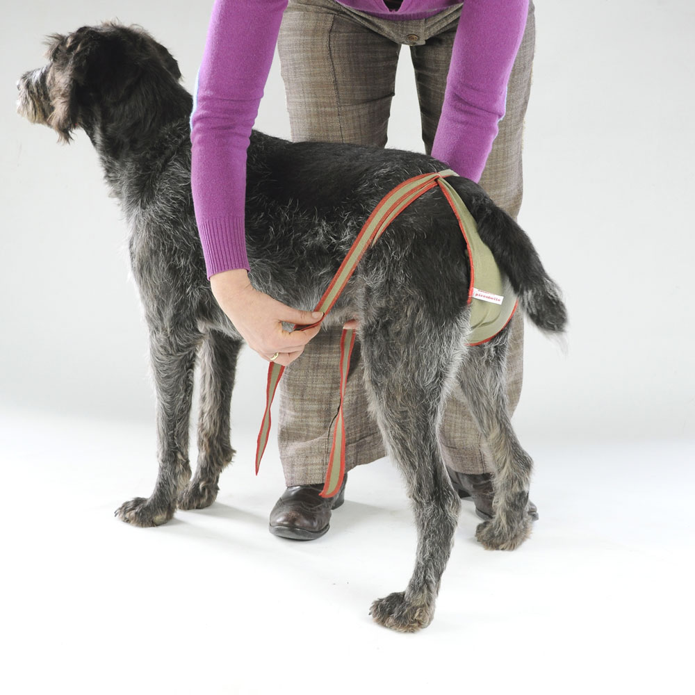 Piccobello Dog Diapers Dog diapers for large female dogs Setof6 Washable Diapers for